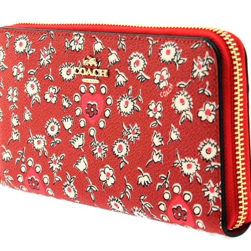 Coach Wild Heart Print Accordion Zip Around Wallet